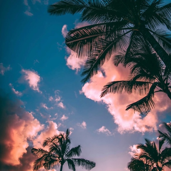 Meet your Posher, Kaylee - Picture 1 of 1